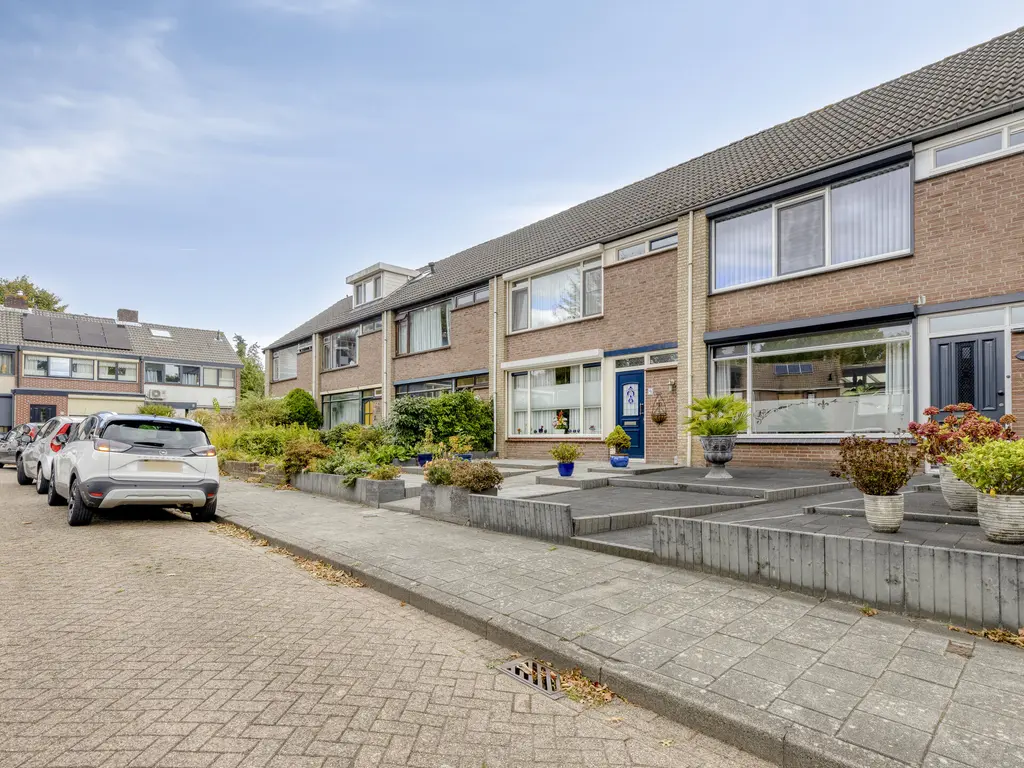 Koffiebos 3, HALSTEREN