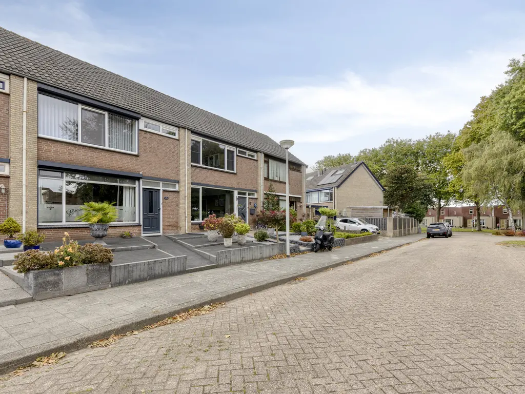 Koffiebos 3, HALSTEREN