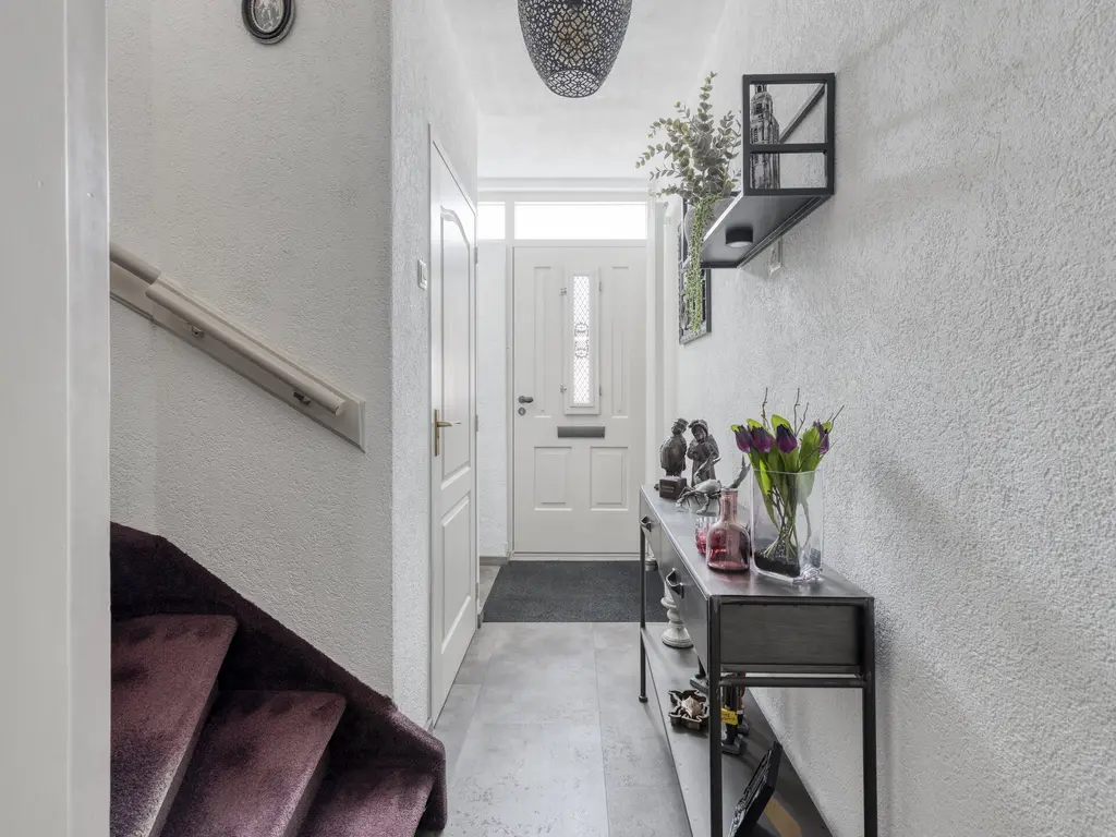 Koffiebos 3, HALSTEREN