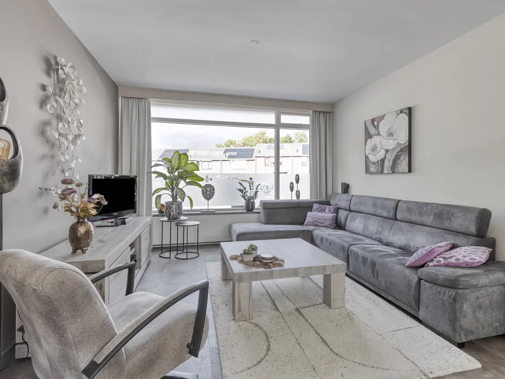 Koffiebos 3, HALSTEREN