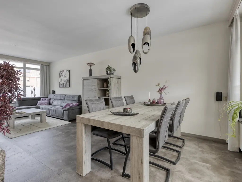 Koffiebos 3, HALSTEREN