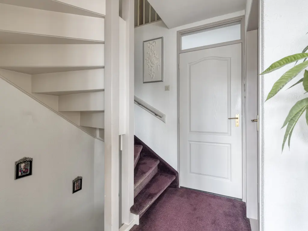 Koffiebos 3, HALSTEREN