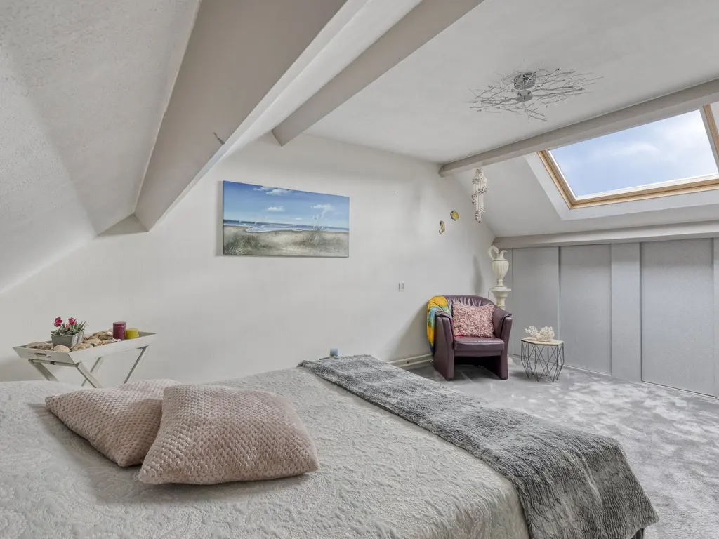 Koffiebos 3, HALSTEREN