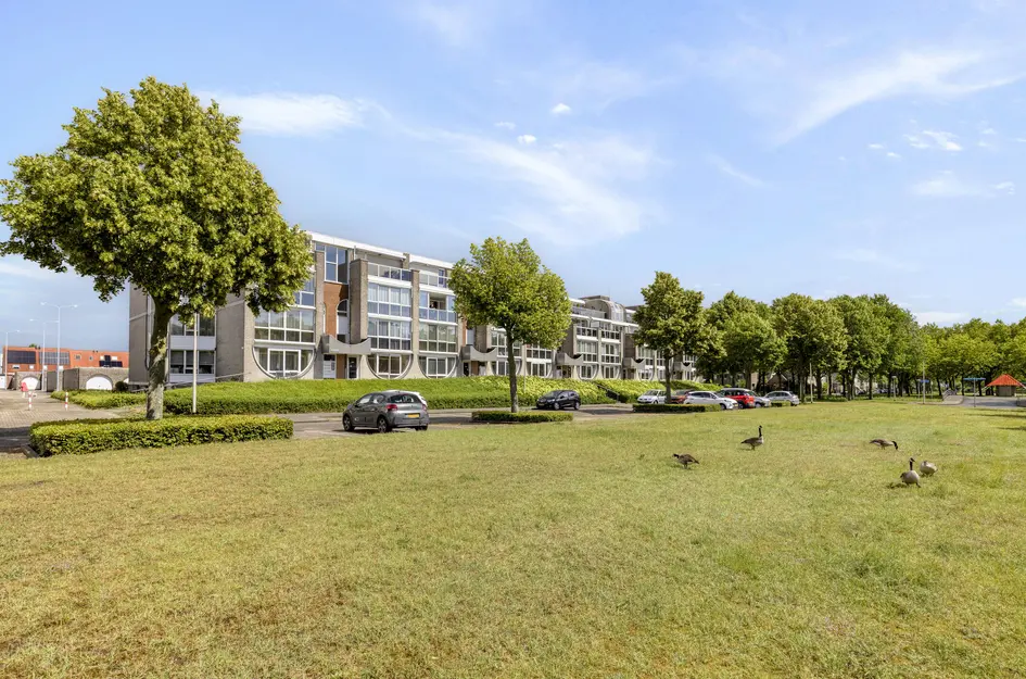 Haringstraat 2