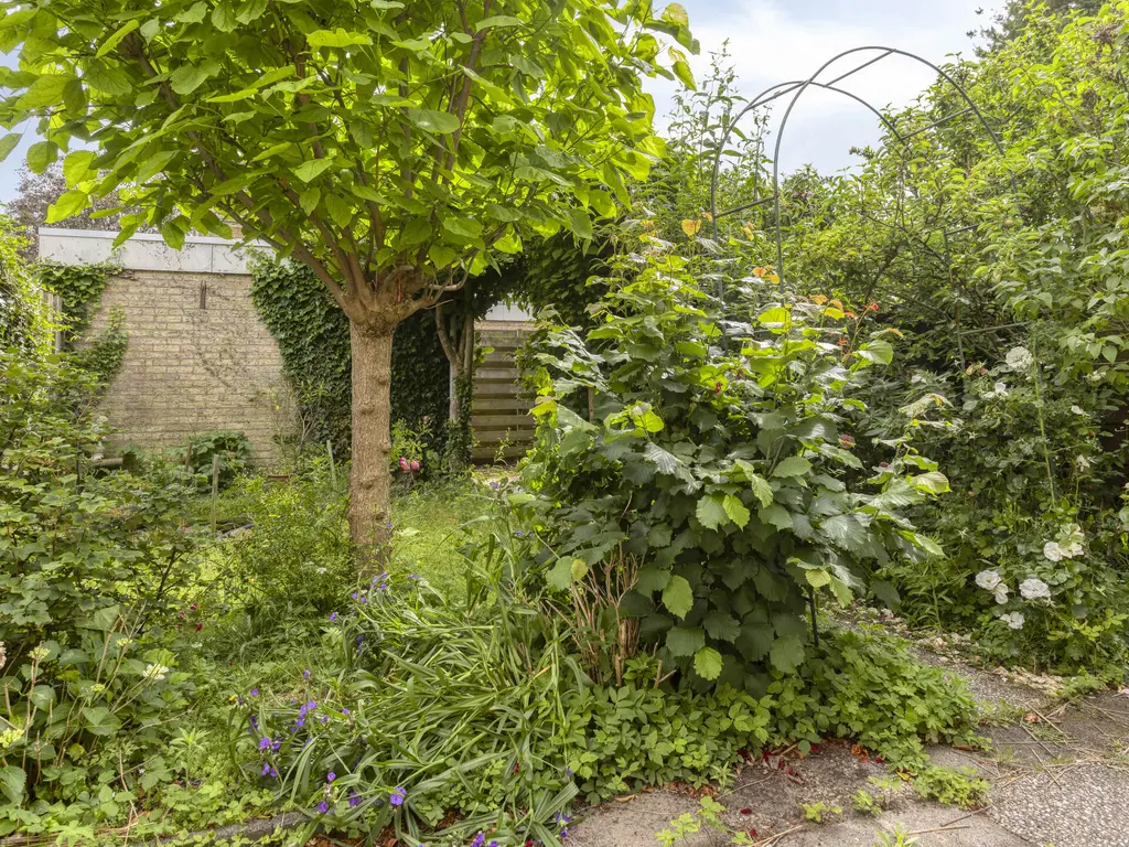 Van den Elsenpad 12, BERGEN OP ZOOM