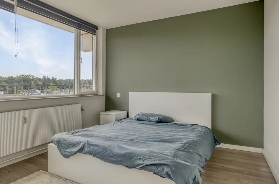 Poolsterstraat 8