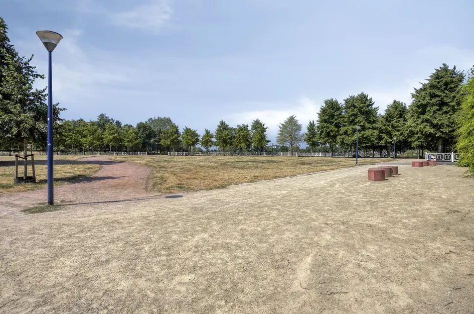 Zuidsingel 54