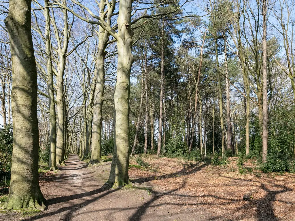 Frankrijkstraat 14, BERGEN OP ZOOM