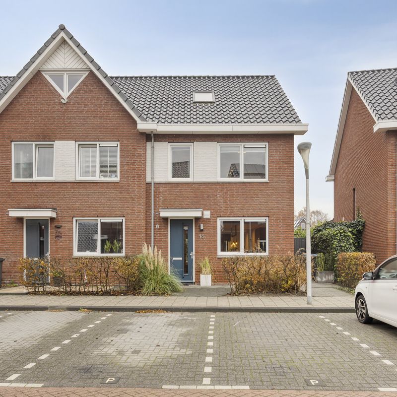 Berkenblad 14, OOSTVOORNE