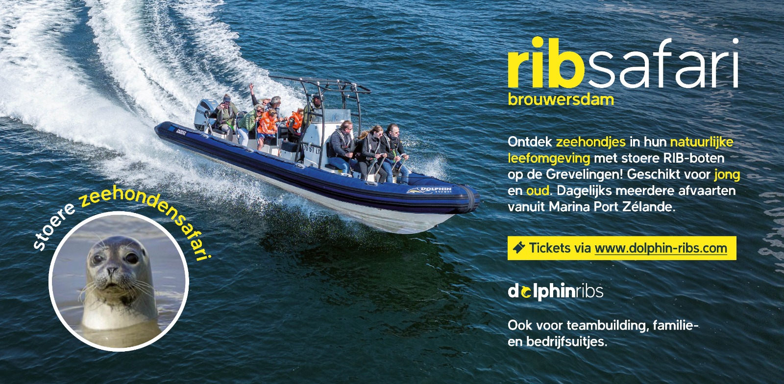 RIB Safari banner