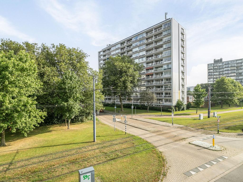 Louis Raemaekersstraat 297, SCHIEDAM