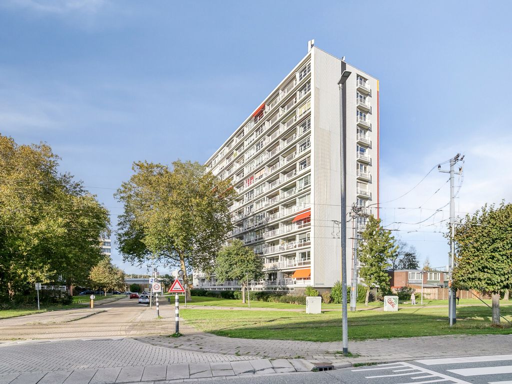 Louis Raemaekersstraat 289, SCHIEDAM
