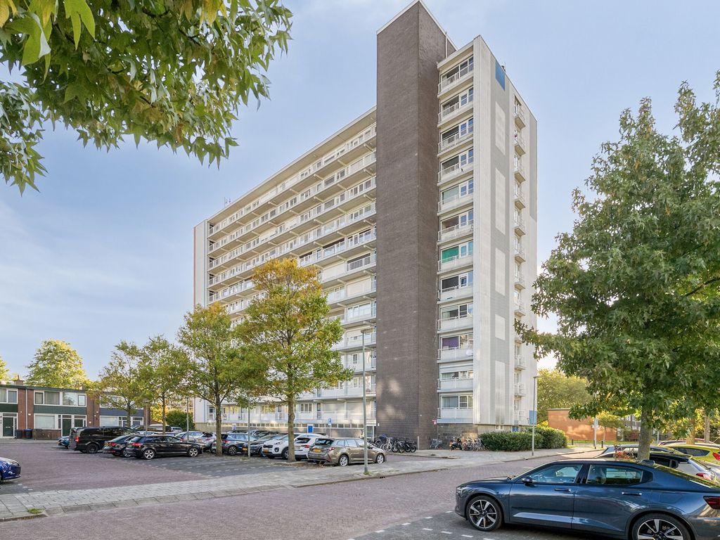Louis Raemaekersstraat 289, SCHIEDAM