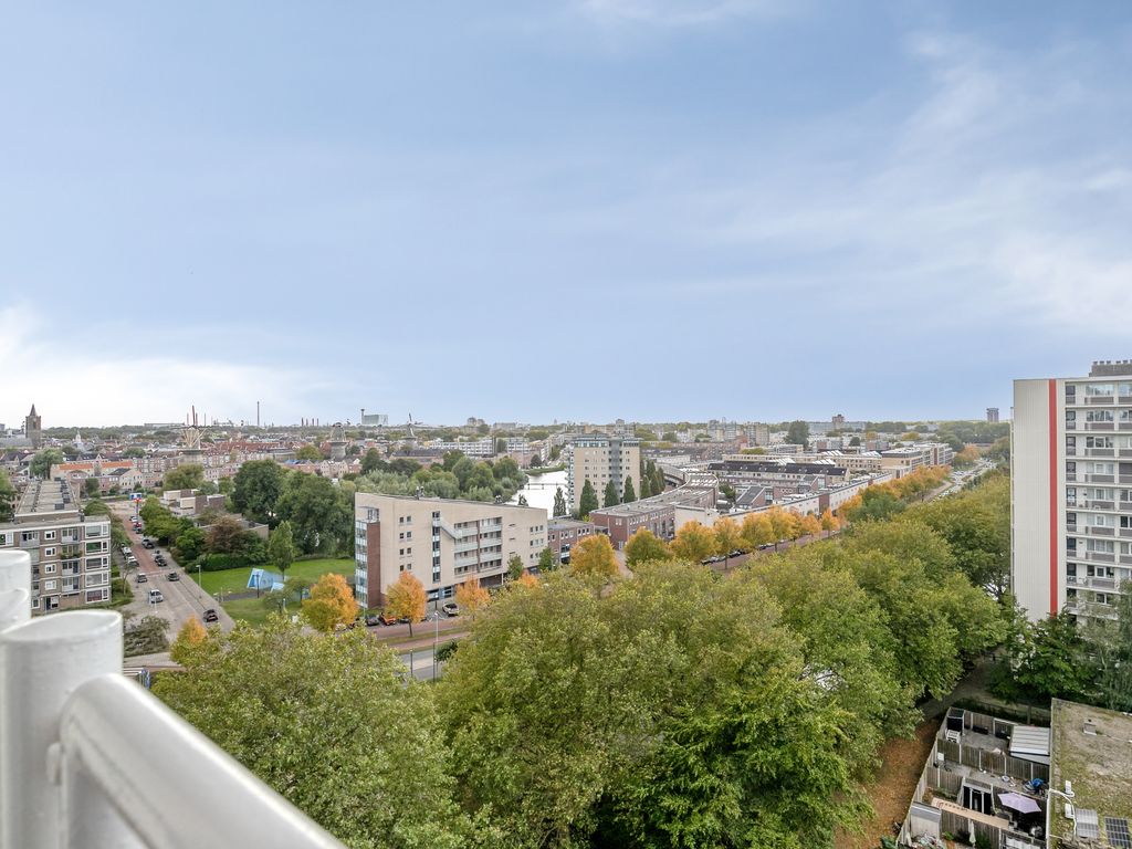 Louis Raemaekersstraat 289, SCHIEDAM