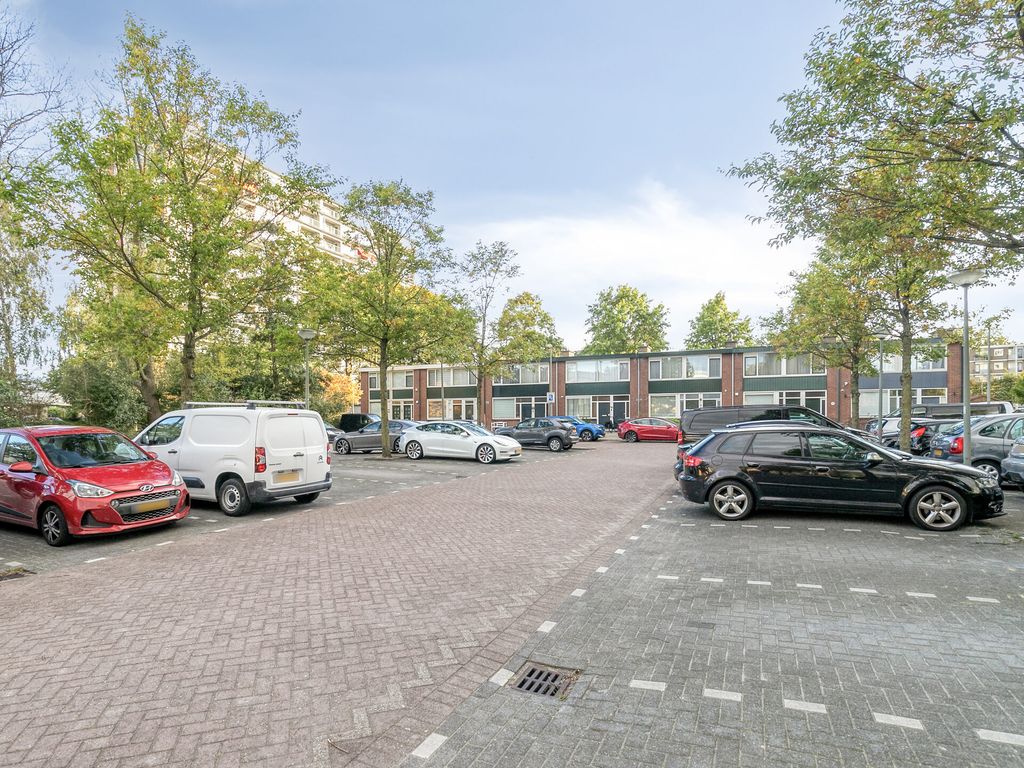Louis Raemaekersstraat 289, SCHIEDAM