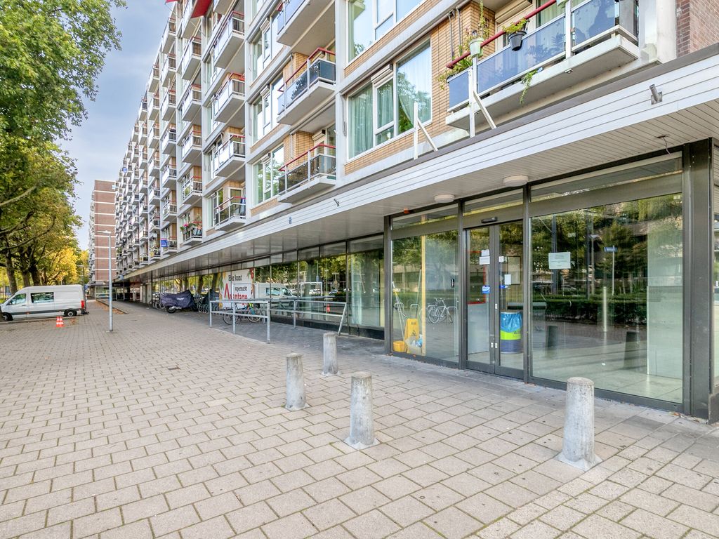 Louis Raemaekersstraat 289, SCHIEDAM