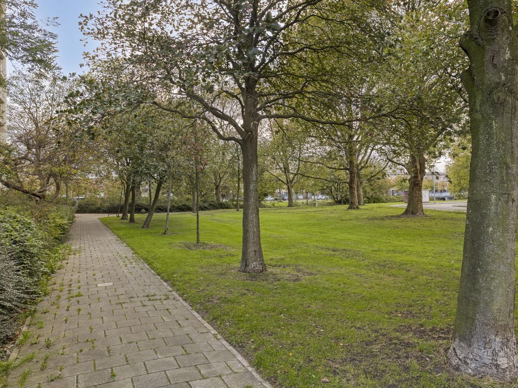 Johan Braakensiekstraat 29, SCHIEDAM