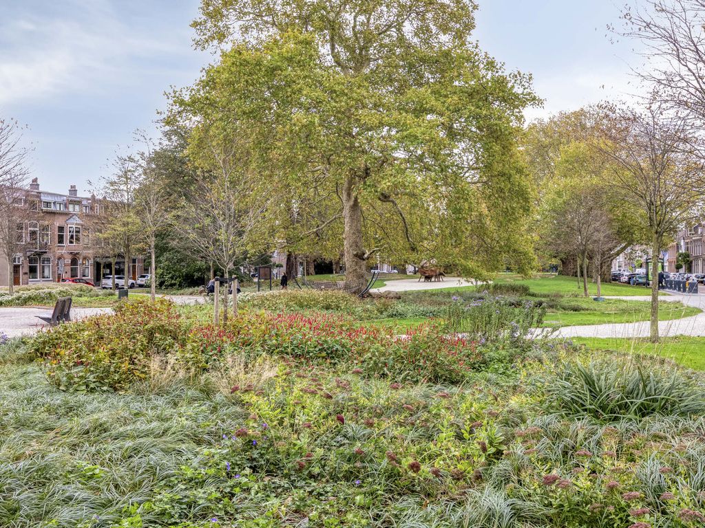 Over de Vesten 53, SCHIEDAM