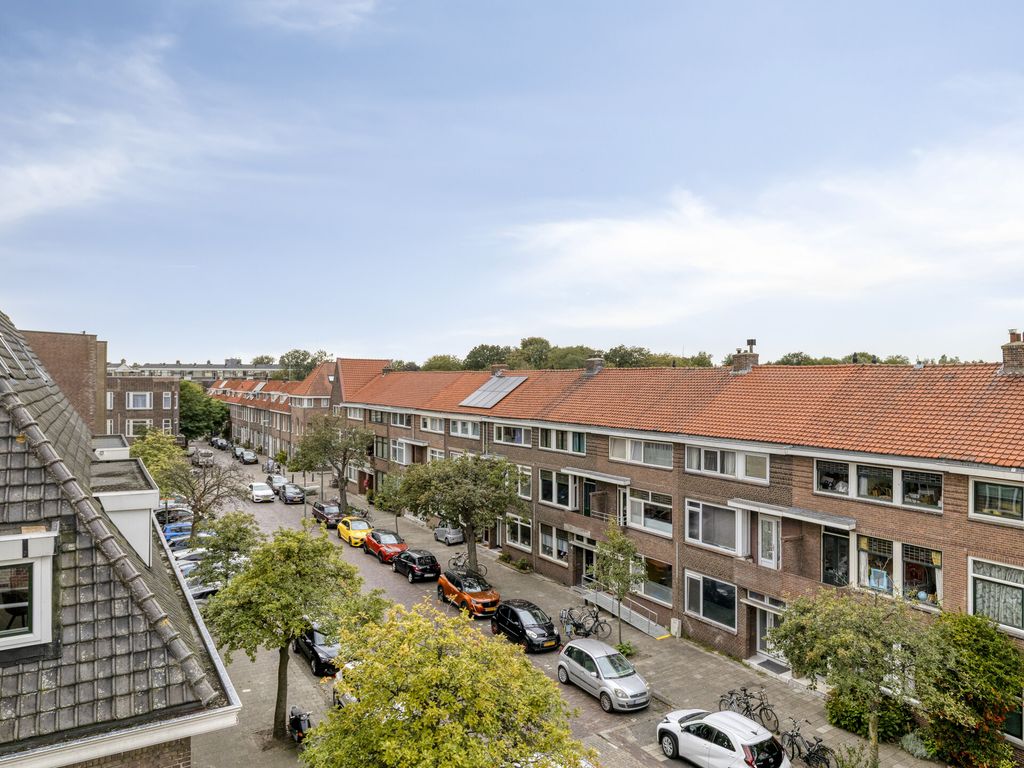 Van Ruijsdaellaan 29A, SCHIEDAM