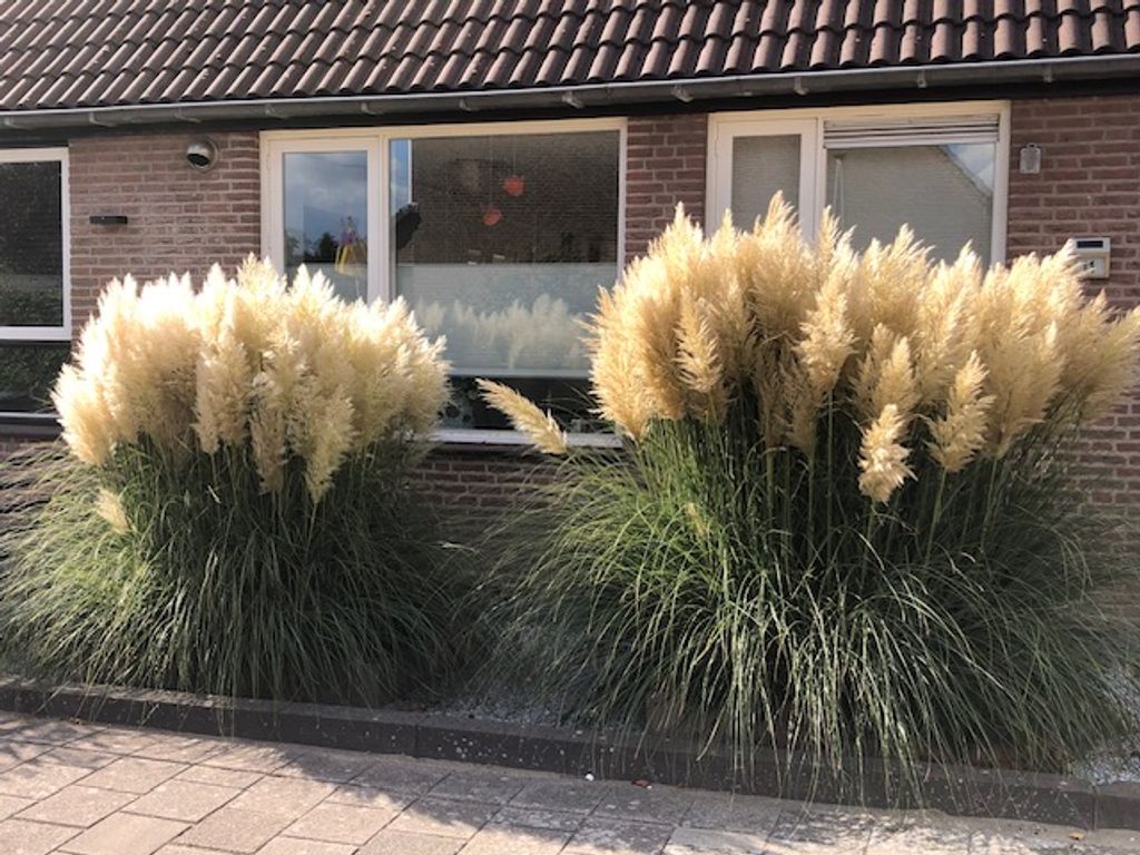 Hendrik Wielengastraat 11, SCHIEDAM