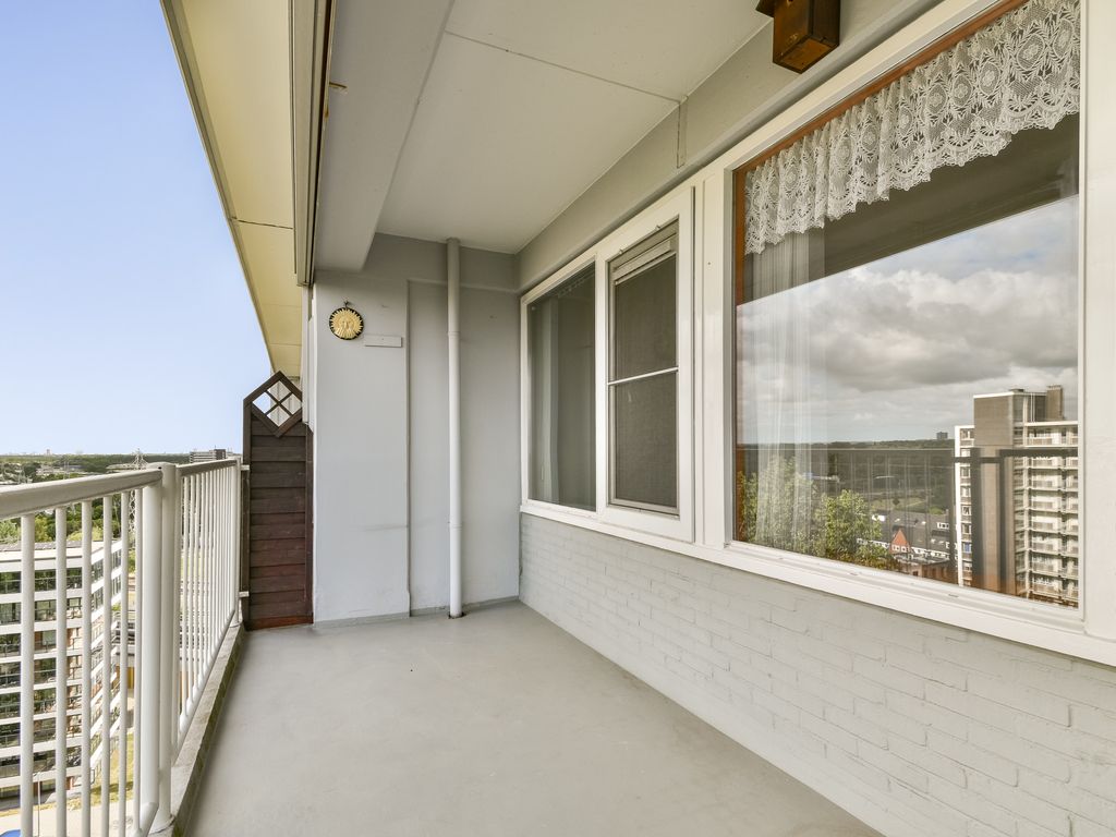 Louis Raemaekersstraat 299, SCHIEDAM