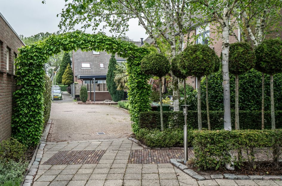 't Zwaantje 23