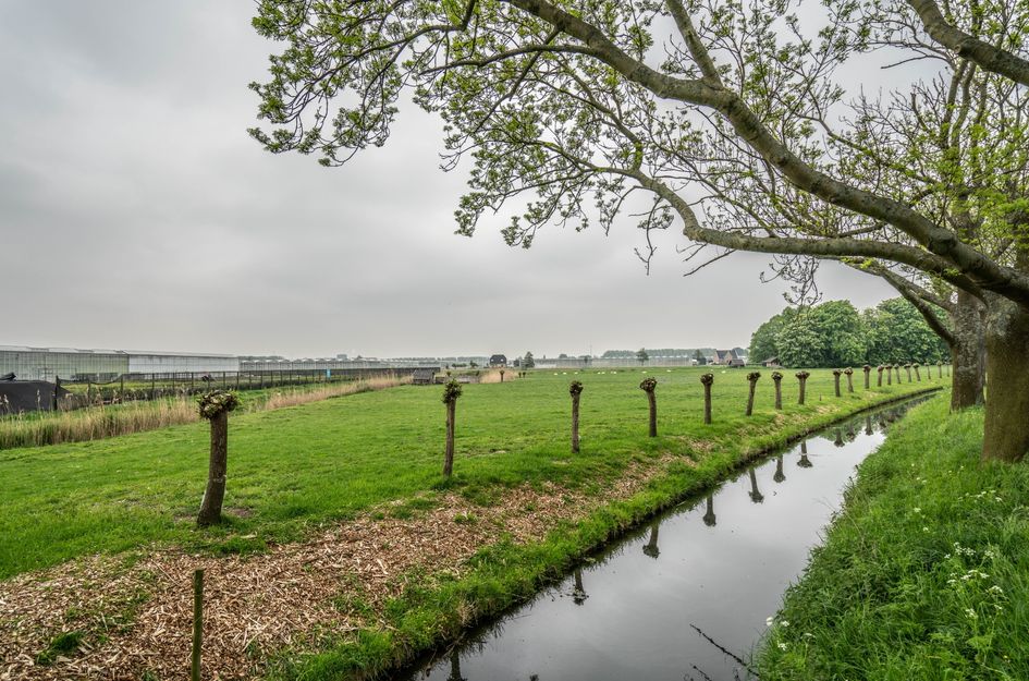 't Zwaantje 23