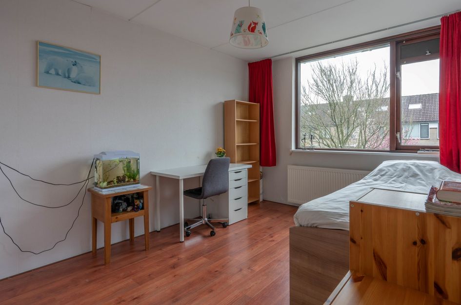 De Brakel 12