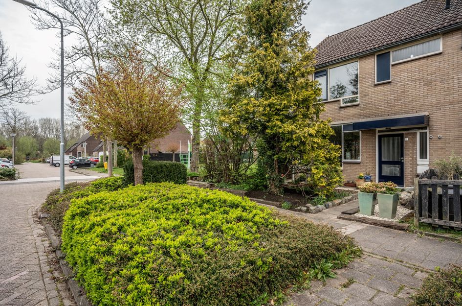 De Brakel 12