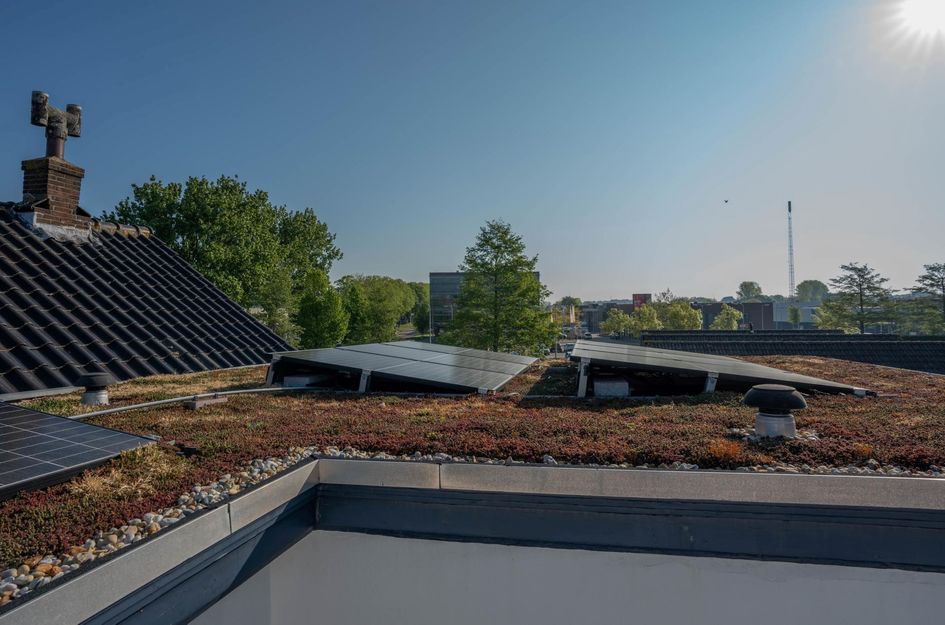 Westmolendijk 21