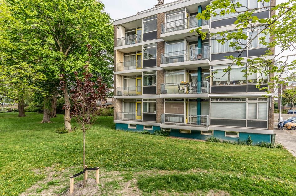 Platostraat 288