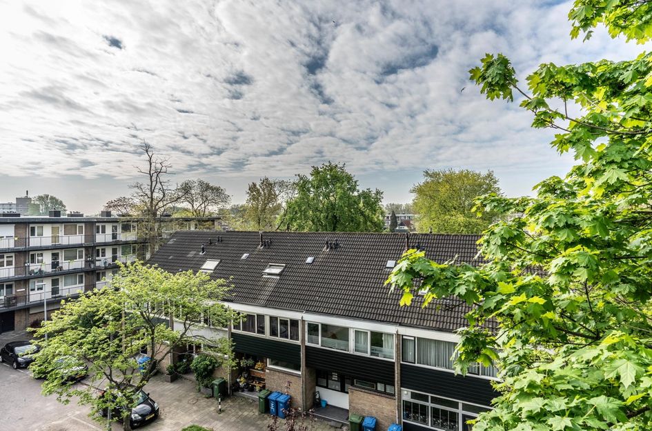 Platostraat 288