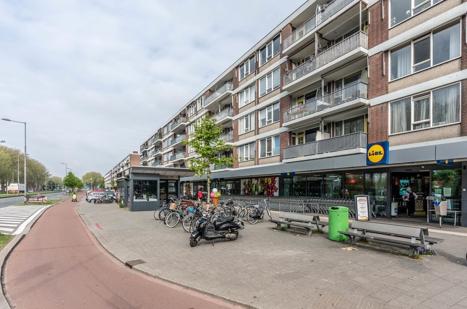Platostraat 288