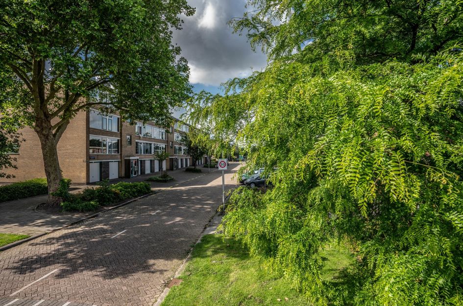 Van Anrooystraat 27