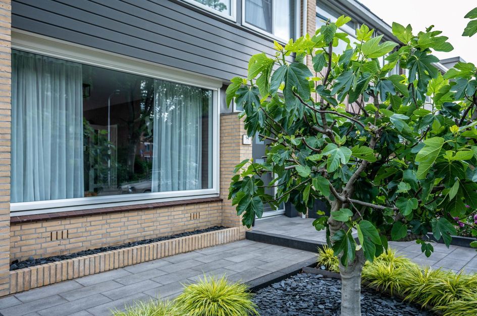 Bizetstraat 54