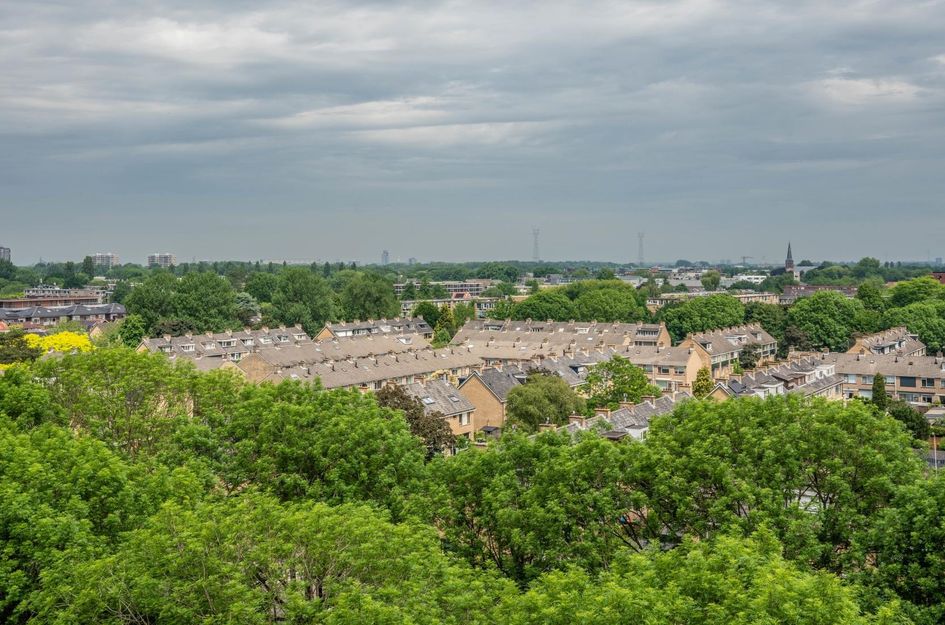 Kloosplantsoen 553