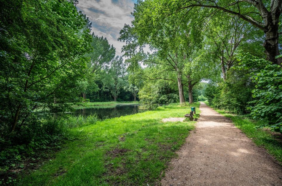 Kloosplantsoen 553