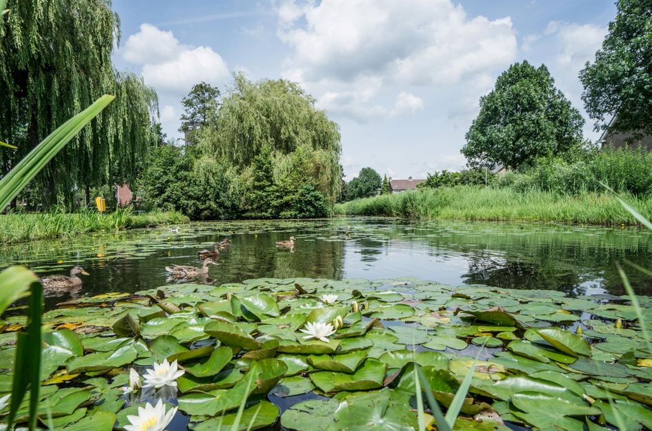Kloosplantsoen 553