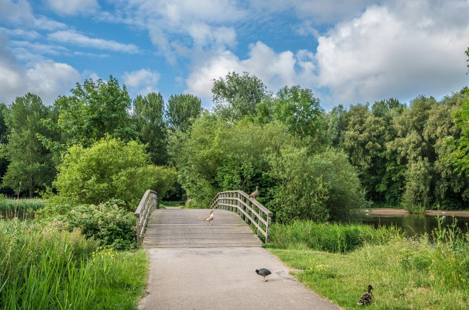 Watermolen 24