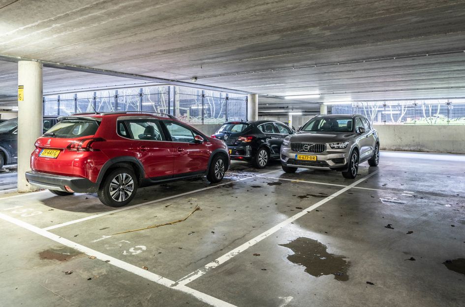 Vondellaan 3