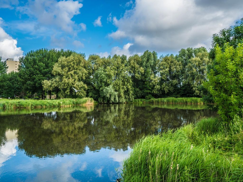 Vondellaan 3, RIDDERKERK