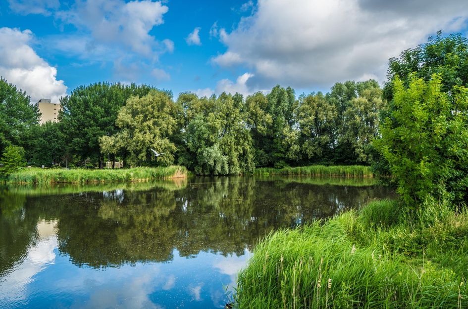 Vondellaan 3