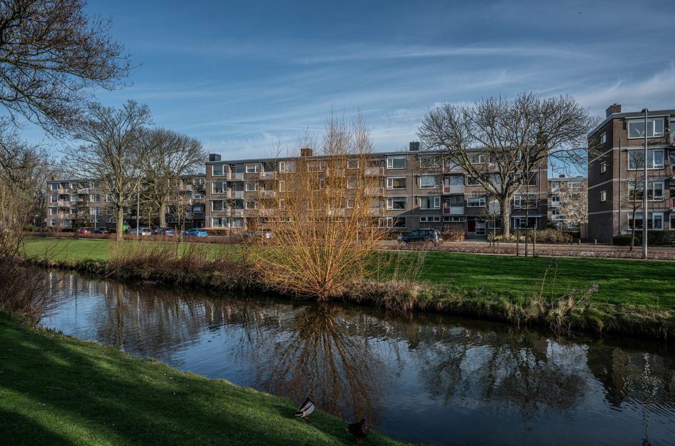 Burgemeester de Zeeuwstraat 248