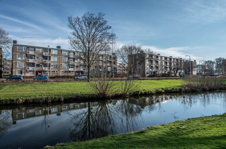 Burgemeester de Zeeuwstraat 248