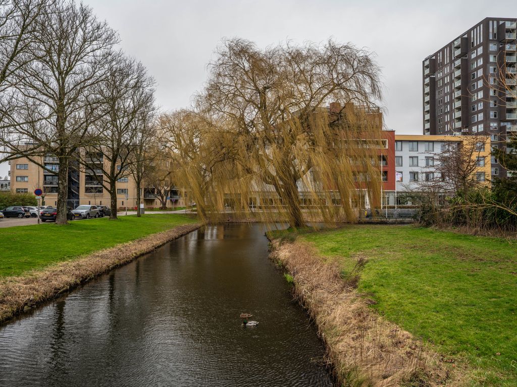 Boksdoornstraat 122, RIDDERKERK