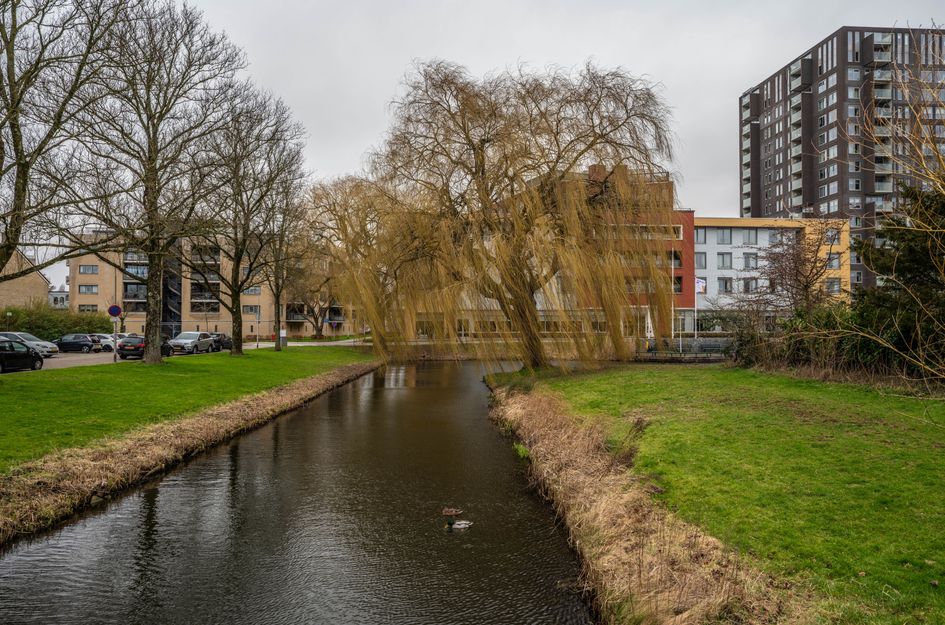 Boksdoornstraat 122