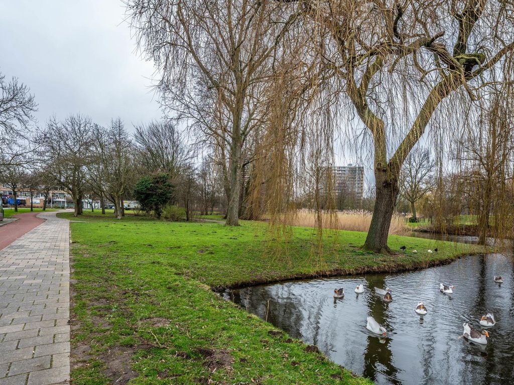 Boksdoornstraat 122, RIDDERKERK