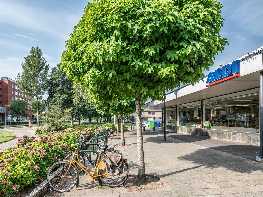 Boksdoornstraat 122, RIDDERKERK