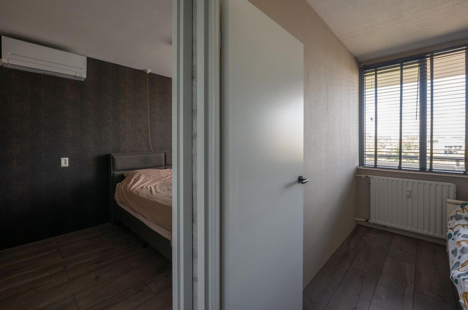 Seringenplantsoen 299