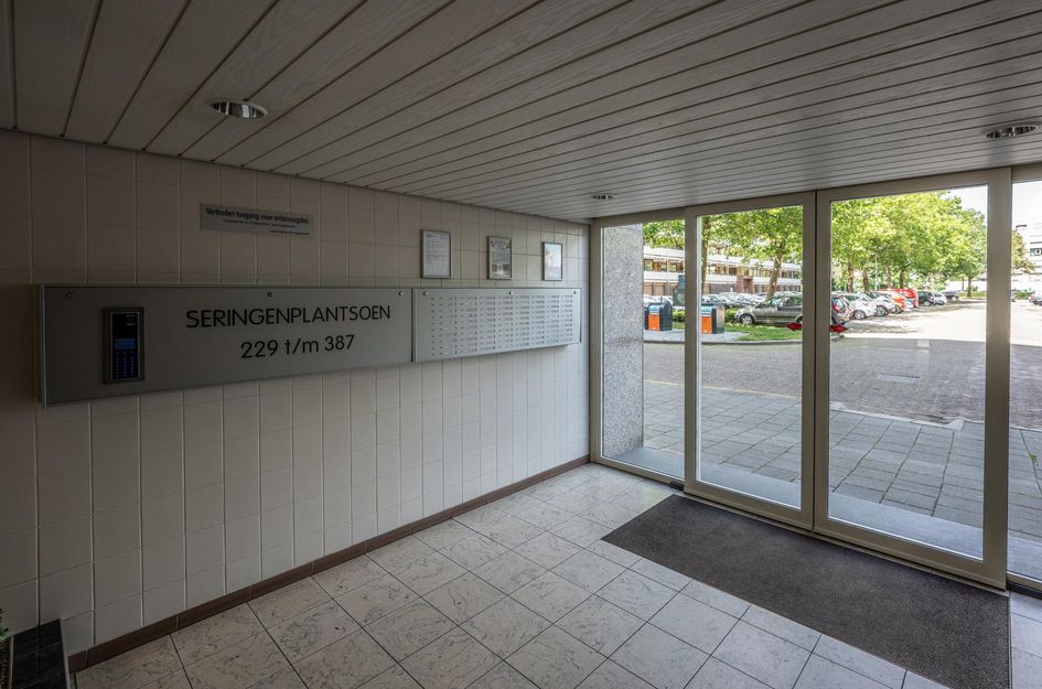 Seringenplantsoen 299
